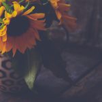 探索游艇会206官方网首页,畅享奢华海上生活体验 0rh3u3545