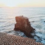 探索海立方官网网址,获取最新优惠与活动信息 g3mq8sd6